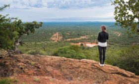 Safari in Madikwe vs Pilanesberg: Which to Choose?