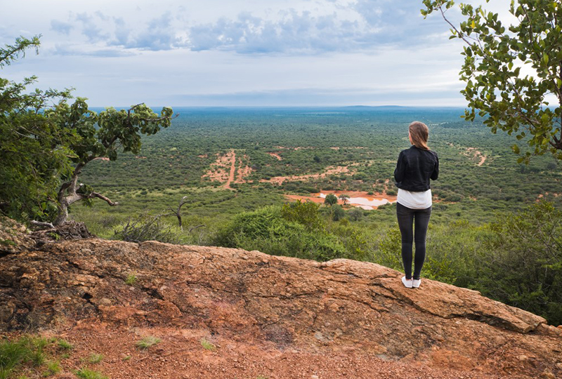 Safari in Madikwe vs Pilanesberg: Which to Choose?