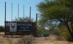 Safari in Mapungubwe National Park: Cultural and Wildlife Experience