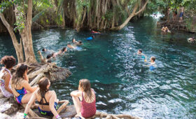 Safari with Hot Springs and Wellness Retreats