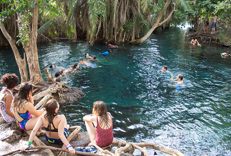 Safari with Hot Springs and Wellness Retreats