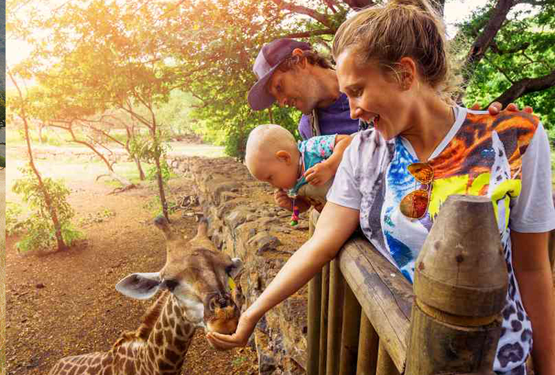 Safari with Kids in South Africa: Family-Friendly Tips