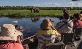 Safari with Luxury Yacht Cruises in South Africa