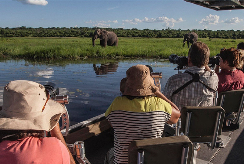 Safari with Luxury Yacht Cruises in South Africa