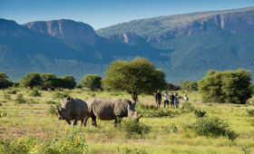 Safari with Mountain Hiking in South Africa