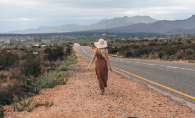 South Africa Safari and Garden Route Combination