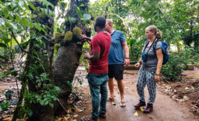 Spice Farm Cultural Experience in Zanzibar