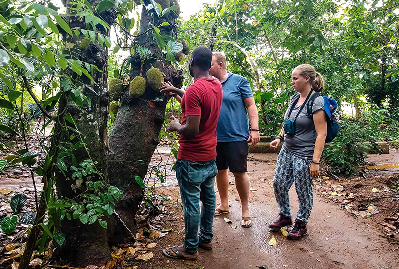 Spice Farm Cultural Experience in Zanzibar