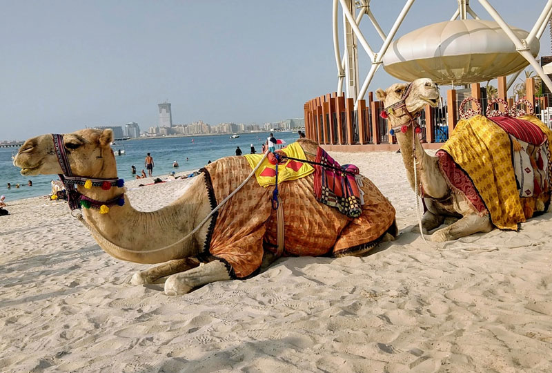 Top-Travel-Blogs-About-Dubai-for-East-African-Tourists