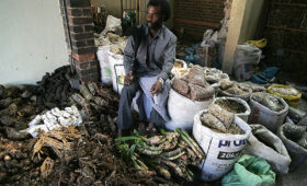 Traditional Healing and Herbal Medicine in Tanzania
