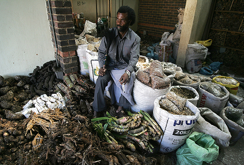 Traditional Healing and Herbal Medicine in Tanzania