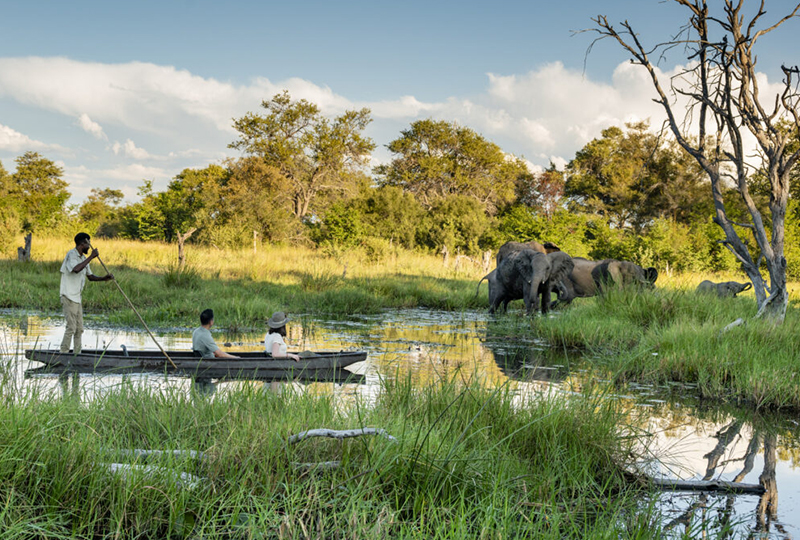 Safari Travel Tips for South Africa: What You Should Know