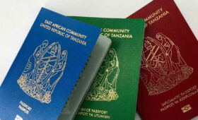 Visa-On-Arrival-in-Dubai-Is-It-Available-for-Tanzanians