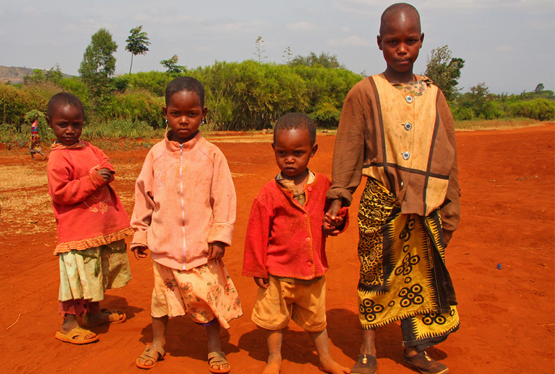 Visit the Iraqw People Near Karatu to discover their unique culture, traditional architecture, and daily way of life. A fascinating cultural experience in northern Tanzania awaits you