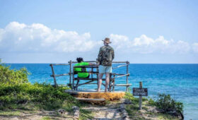 Zanzibar Marine Parks You Should Visit