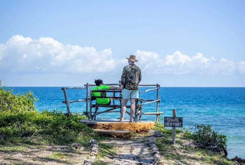 Zanzibar Marine Parks You Should Visit