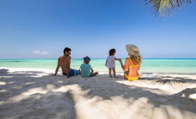 Best Time to Spot Sea Turtles in Zanzibar