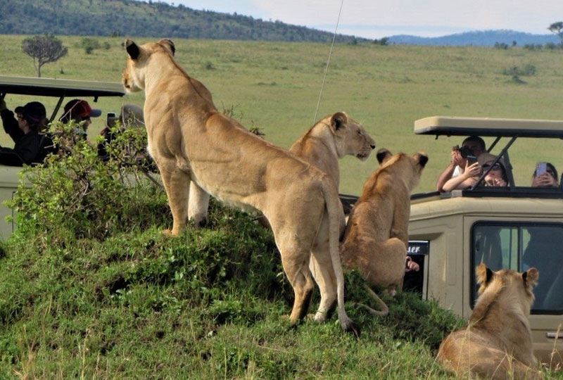 10-Day Safari Itinerary Covering Best of Kenya