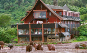 Aberdare National Park: Safari in the Highlands