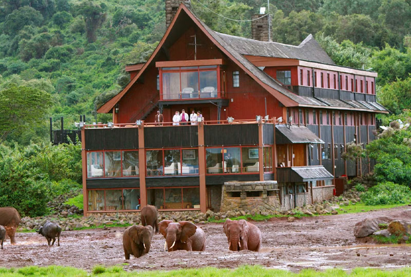 Aberdare National Park: Safari in the Highlands