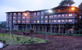 Aberdare Tree Lodges and Safari Experience