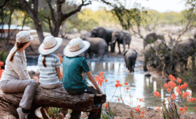 Akagera-Safari-with-Children-What-to-Know