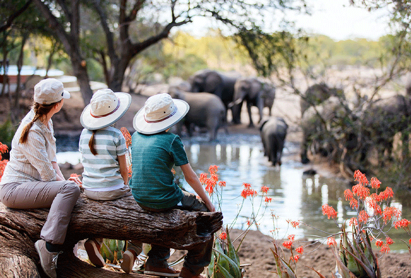 Akagera-Safari-with-Children-What-to-Know