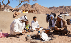 Bedouin Culture and Desert Life Experiences