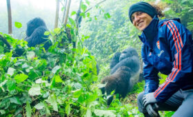 Best Kenya Safari with Gorilla Trekking Extension