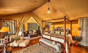 Best Safari Camps in Masai Mara