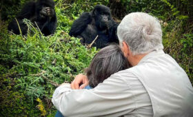 Best Time to Combine Gorilla Trekking and Lake Kivu