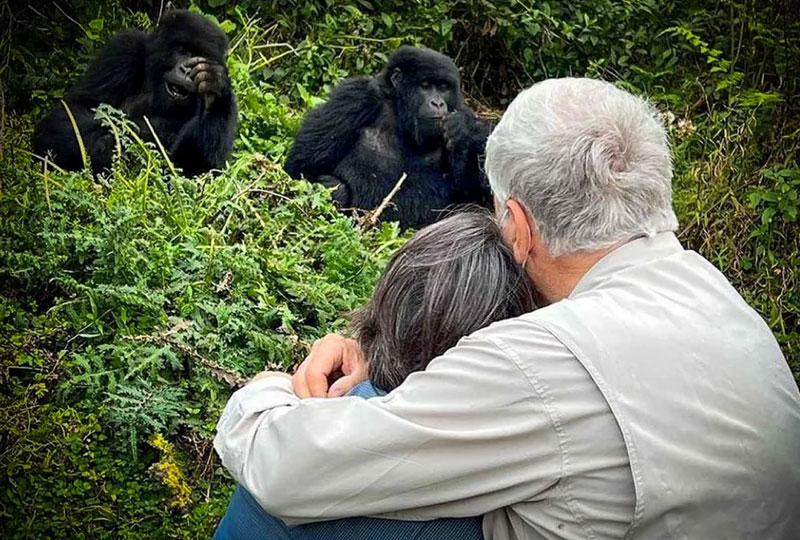 Best Time to Combine Gorilla Trekking and Lake Kivu