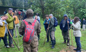 Bwindi Gorilla Trekking: Tips for First-Time Trekkers