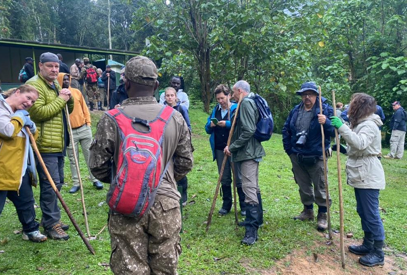 Bwindi Gorilla Trekking: Tips for First-Time Trekkers