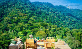 Bwindi Impenetrable Forest National Park Overview
