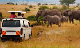 COVID-19 Travel Rules for Kenya Safari in 2025