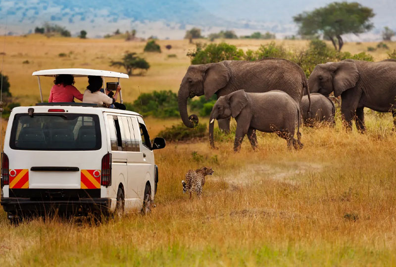 COVID-19 Travel Rules for Kenya Safari in 2025