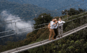 Nyungwe- to- Volcanoes- National -Park- Which- to- Visit
