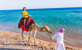 Desert and Beach Holidays in Egypt