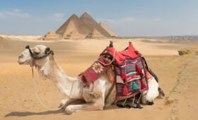 Egypt Trip Planning: What to Pack for History Tours