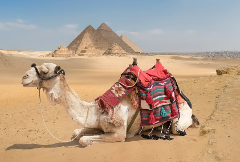 Egypt Trip Planning: What to Pack for History Tours