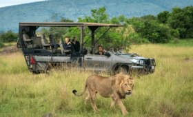 Exploring-Akagera-on-a-Self-Drive-Safari
