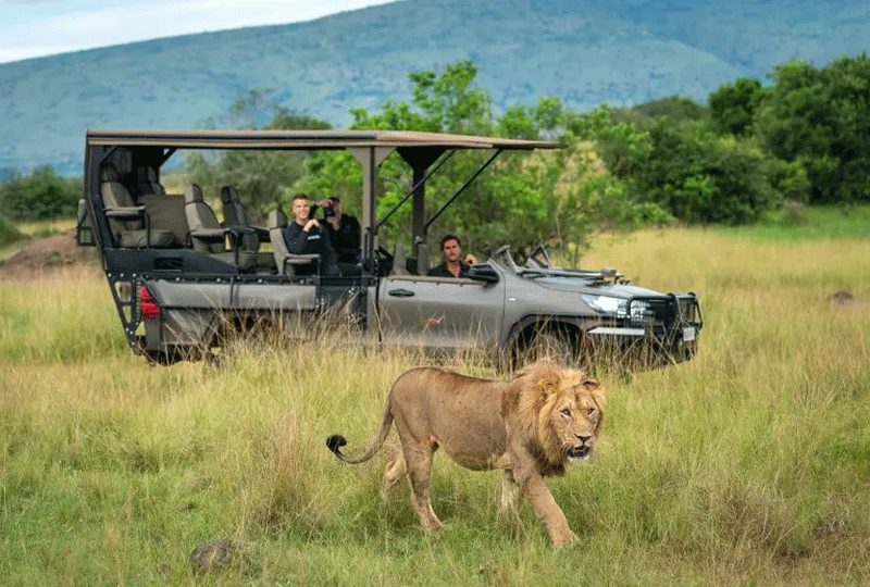 Exploring-Akagera-on-a-Self-Drive-Safari