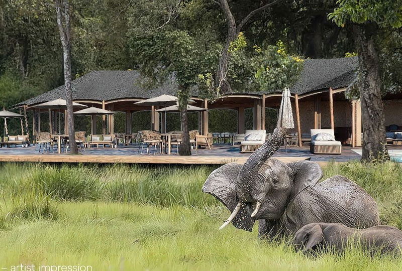 Game Drives in the Mara Triangle