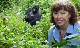Gorilla Permit Costs and How to Secure Them in Uganda