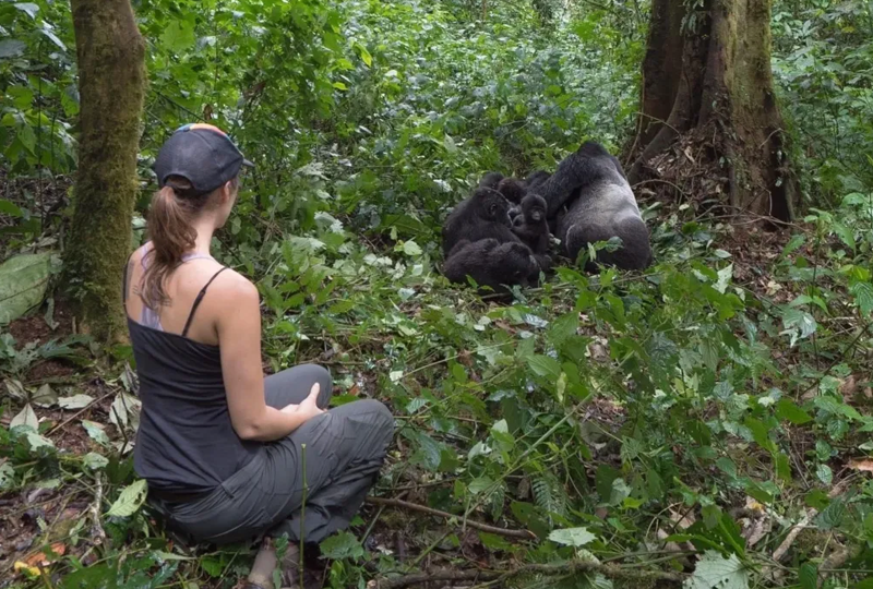 Gorilla Trekking Permits: How Early Should You Book?