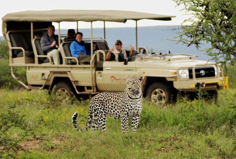 How Much Does a Kenya Safari Cost?