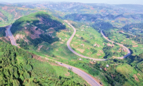 How to Get to Bwindi from Entebbe