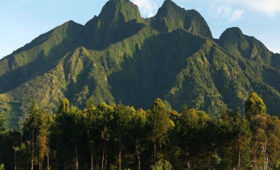 How- to- Get- to- Volcanoes- National- Park-for-Trekking
