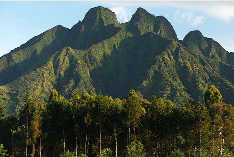 How- to- Get- to- Volcanoes- National- Park-for-Trekking